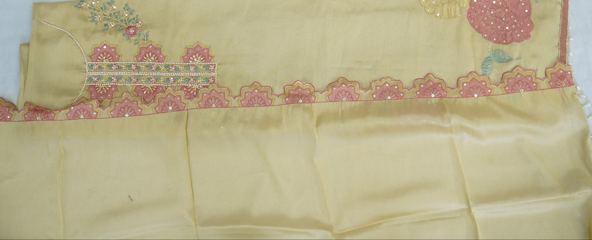 Jiraff tissue top and dupatta, bottom Upada silk, multithread with handwork, cutwork dupatta