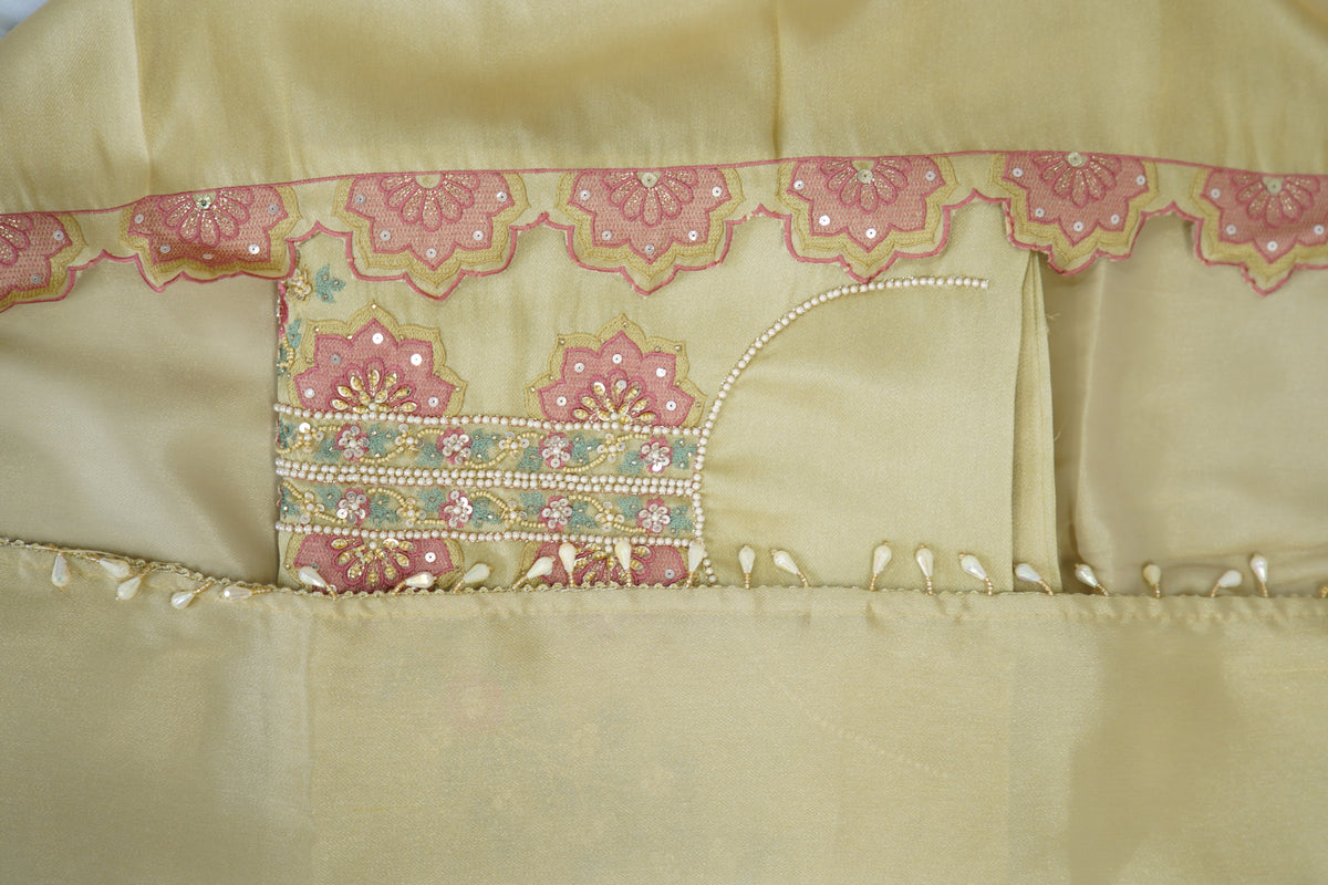 Jiraff tissue top and dupatta, bottom Upada silk, multithread with handwork, cutwork dupatta